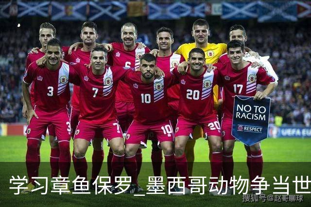 学习章鱼保罗 墨西哥动物争当世界杯预言家